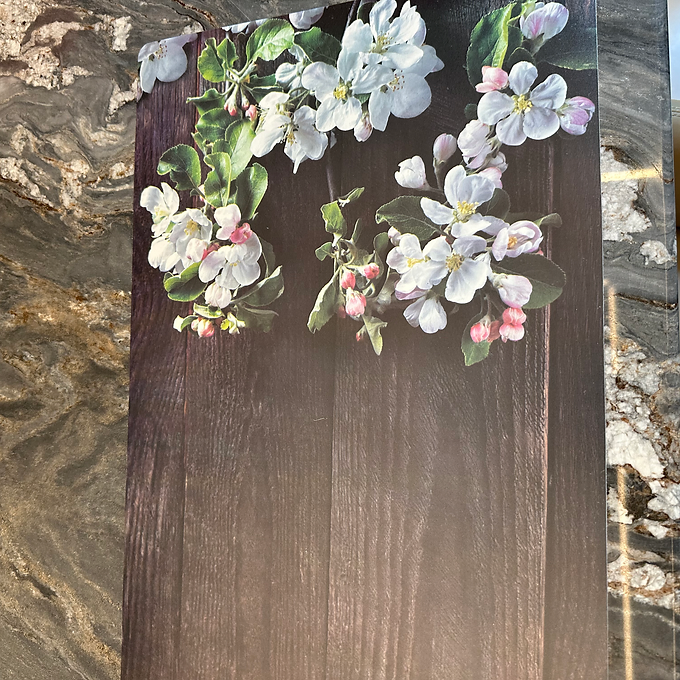 527d55_1a95991a7136414a82ffb8325b2260f9~mv2