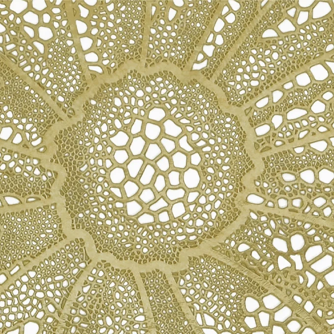 527d55_bc0704f2ef9c4eb3a077dfdcbb3bee43~mv2